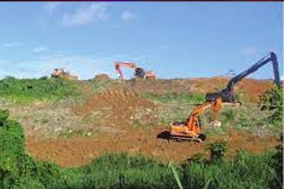 Municipal councils need robust revenue streams